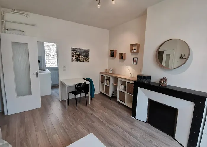 Anemone - Studio Tout Confort En Centre Ville